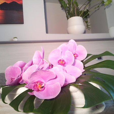 B&B Solimena Neapol Exteriér fotografie